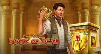 Book of Dead slot thumbnail