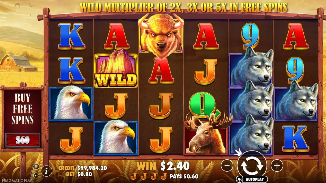 Buffalo King base game at a $0.80 bet: a rock WILD on reel 2, stacked wolves on reel 5, a buffalo on reel 3, WIN $2.40