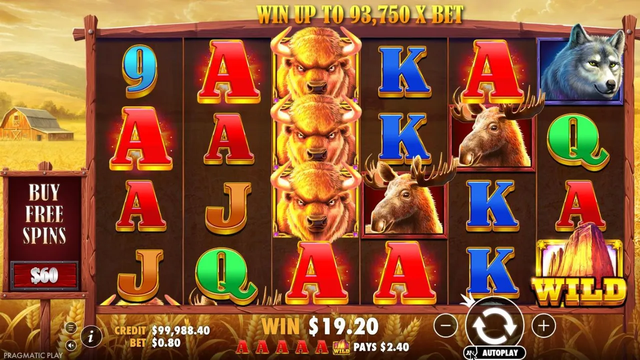 Buffalo King spin 56 at a $0.80 bet, settled: Aces on all six reels with a WILD on reel 6 and stacked buffaloes, WIN $19.20