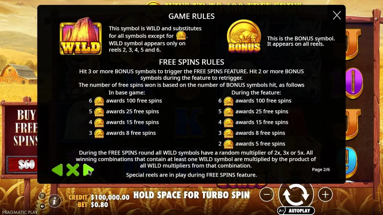 Buffalo King rules page 2: the rock WILD on reels 2 to 6, BONUS coins for 5 to 100 free spins and wild multipliers of 2x, 3x or 5x