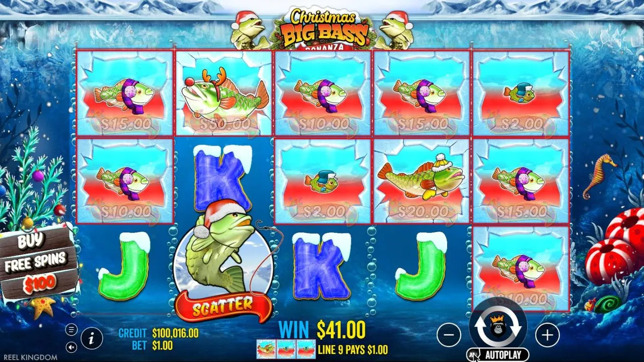Christmas Big Bass Bonanza spin 35 at a $1 bet, settled: fish across the top and middle rows with a $50.00 reindeer fish, WIN $41.00
