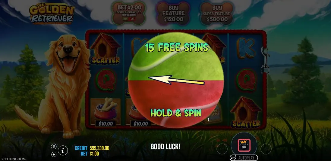 Golden Retriever feature picker after the $500 buy: a tennis ball split between 15 Free Spins and Hold and Spin