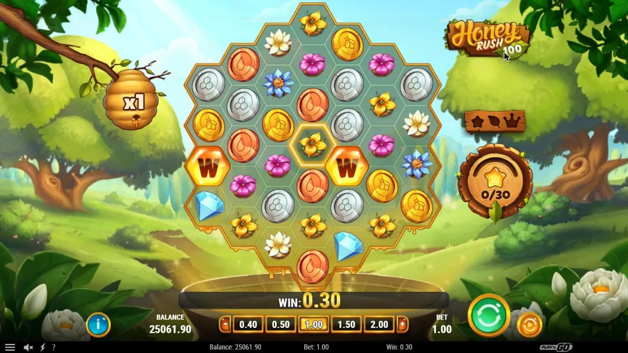Honey Rush 100 base spin 100 at a $1 bet, settled: the hexagonal flower and coin grid with two sticky wilds, the beehive at x1, meter 0/30