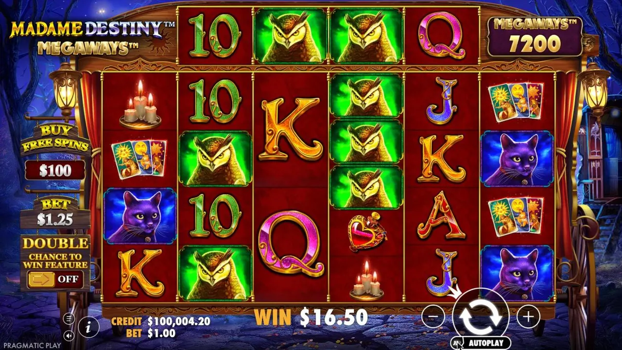 Madame Destiny Megaways spin 28 at a $1 bet, settled: owls on reels 2 and 4 and on the top row, cats and tarot cards on reel 6, WIN $16.50