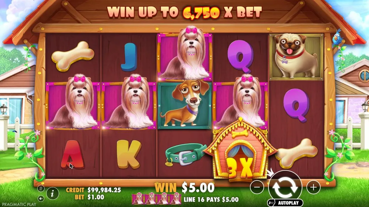 The Dog House spin 30 at a $1 bet, settled: four pink-bowed dogs across line 16 paying $5.00, with a 3X wild below the line on reel 4